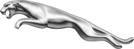 The Jaguar logo, featuring a sleek, silver, leaping jaguar, symbolizing the luxury British automobile brand known for performance and elegance.