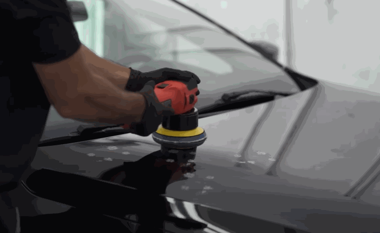 A detailer uses a red and black dual-action polisher to buff the hood of a black car, creating smooth, even reflections across the surface.